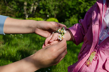 Image showing mothers hand adorned baby hands with white daisy  