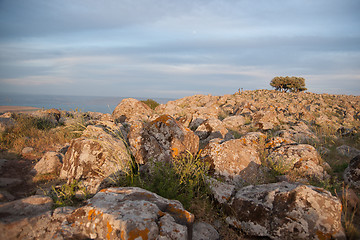 Image showing galilee landscape