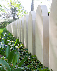 Image showing Rows of tombstones