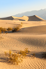 Image showing Death Valley Desert