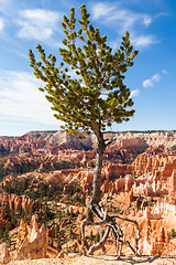 Image showing Bryce Canyon