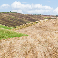 Image showing Tuscany agriculture