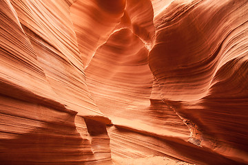 Image showing Antelope Canyon