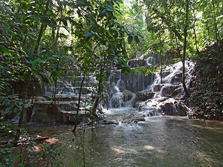 Image showing jungle scenery