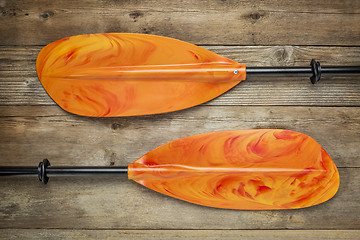 Image showing colorful kayak paddles