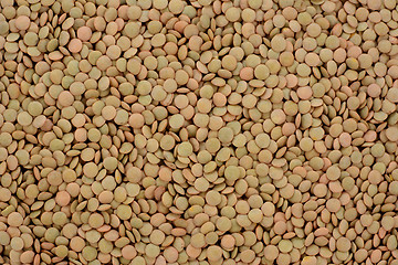 Image showing Green lentils background