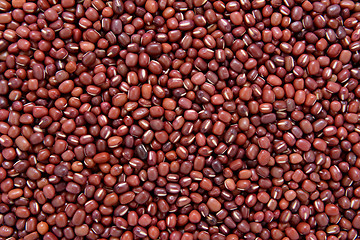 Image showing Adzuki beans background 