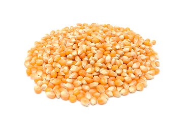 Image showing Popcorn maize