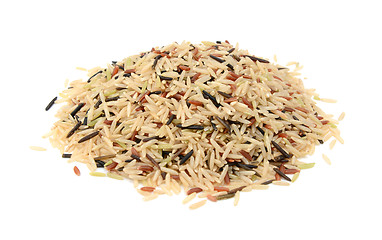 Image showing Wild rice, brown basmati and red camargue grains