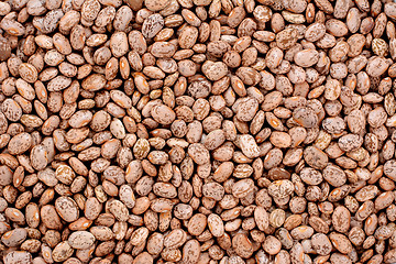 Image showing Pinto beans background