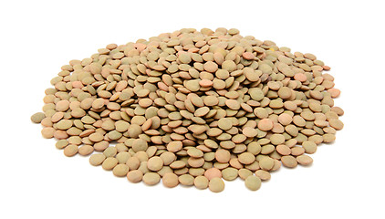 Image showing Green lentils