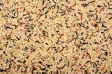 Image showing Wild rice, brown basmati and red camargue background