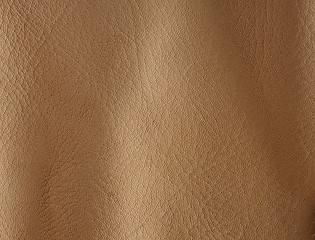 Image showing Natural leather background