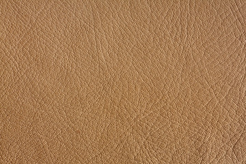 Image showing Natural leather background