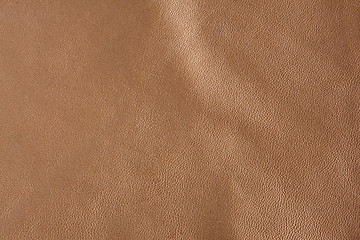 Image showing Natural leather background