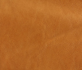 Image showing Natural leather background