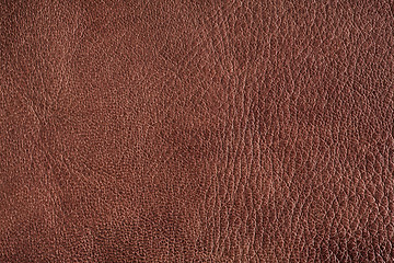 Image showing Natural leather background