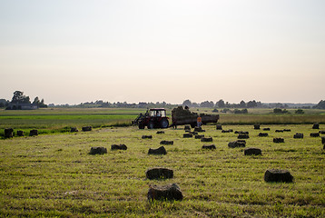 Image showing farmers load dried hay straw bales to tractor 