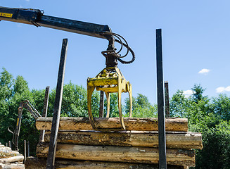 Image showing wood machinery cutter loading cut logs on trailer 