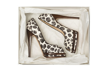 Image showing animal print high heel shoes in box