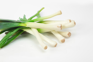 Image showing Green Onion on white background