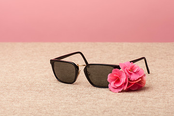 Image showing brown Sunglasses on canvas