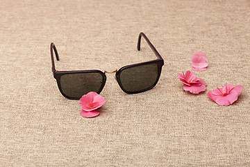 Image showing brown Sunglasses on canvas