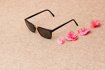 Image showing brown Sunglasses on canvas