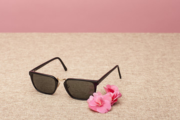 Image showing brown Sunglasses on canvas