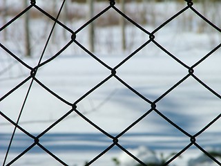 Image showing iron pattern fence