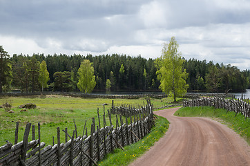 Image showing Shiny birches at winding gravel road