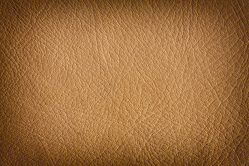 Image showing Natural leather background