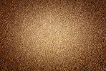 Image showing Natural leather background