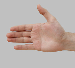 Image showing White hand on perfect gray background