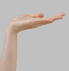 Image showing White hand on perfect gray background