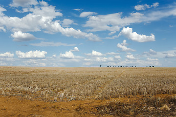 Image showing Endless field