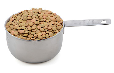 Image showing Green lentils in an American cup measure