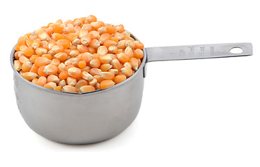 Image showing Popcorn maize in an American cup measure
