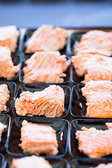 Image showing Salmon appetizers