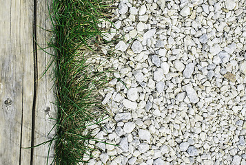 Image showing Green grass and stones