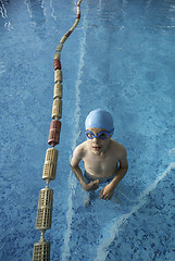 Image showing Child in swimming pool