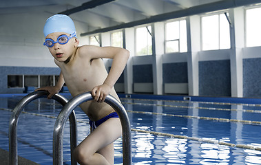 Image showing Child in swimming pool