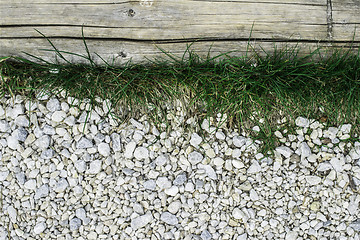 Image showing Green grass and stones