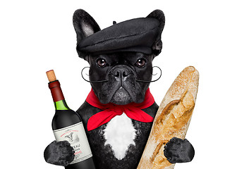 Image showing french dog