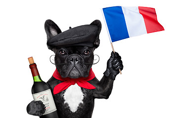 Image showing french dog