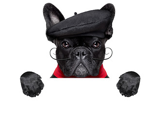 Image showing french dog