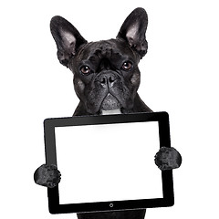 Image showing dog with tablet pc