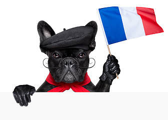 Image showing french dog