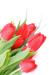 Image showing Spring Tulips