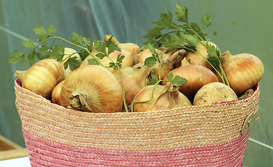 Image showing Onions basket 